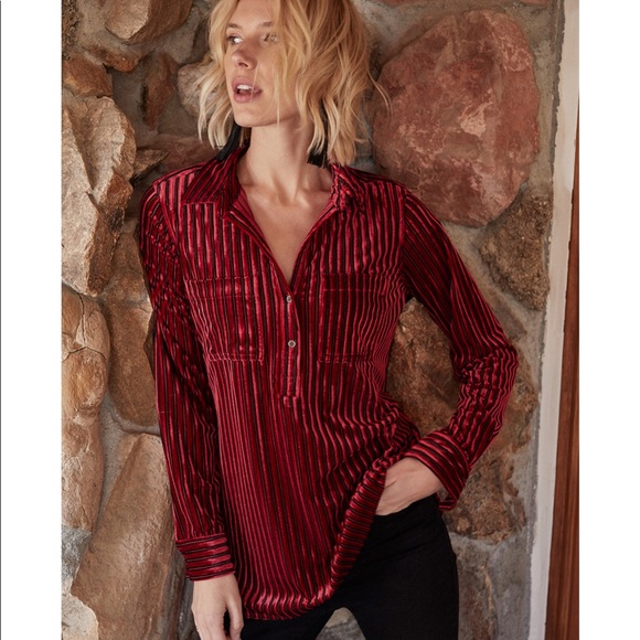 Velvet Pinstripe Blouse 🧯 - Picture 2 of 8